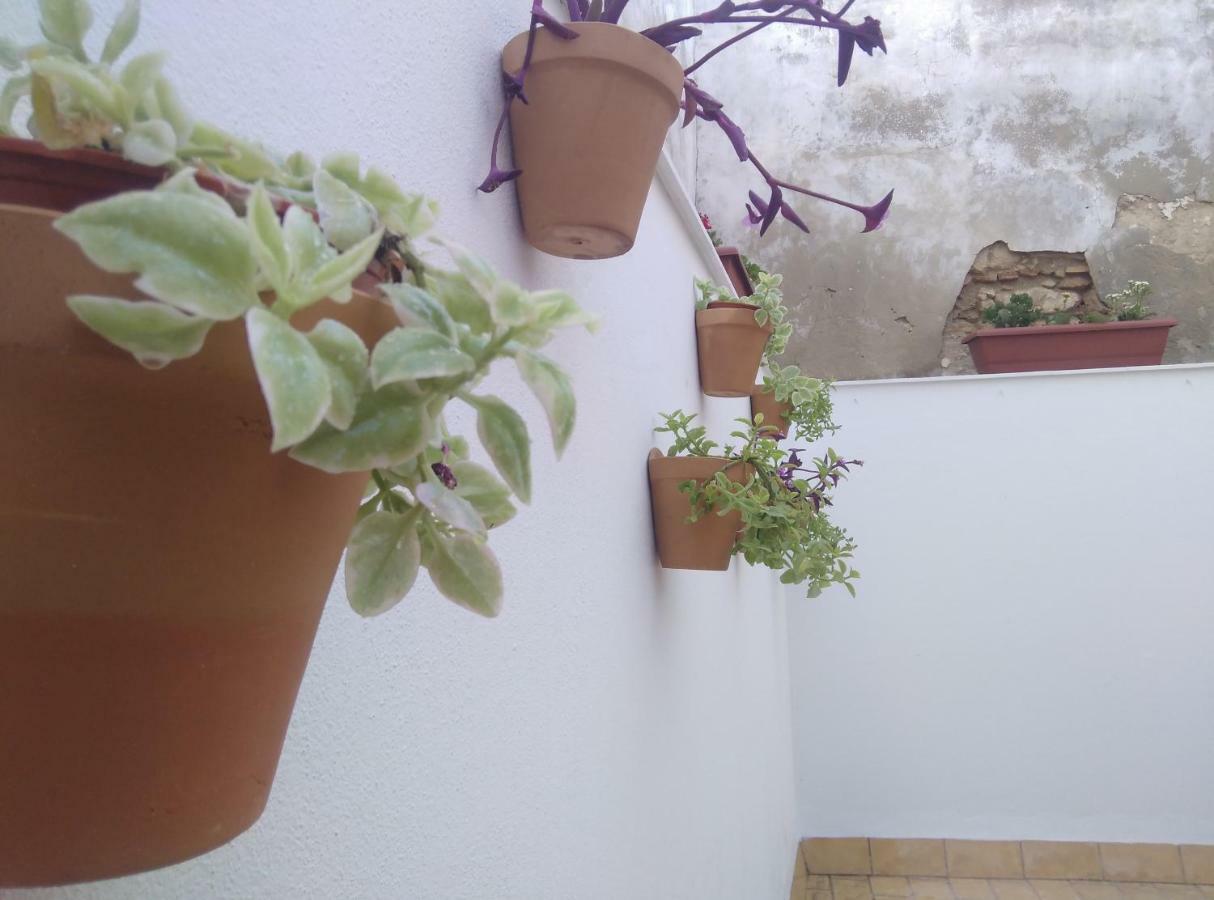 Apartamento Palo Cortao Χέρεζ Εξωτερικό φωτογραφία